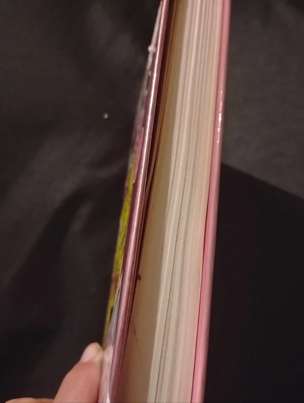 Tales from a Not-So-Happy Birthday - Pink Hardcover